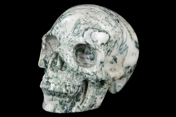 Realistic, Polished Tree Agate Skull #116698